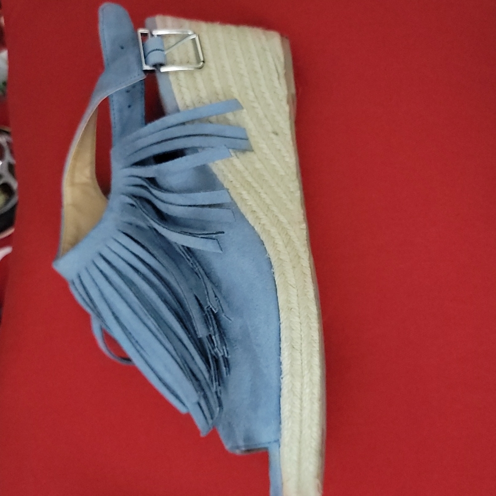 Blue Fringe Wedge Sandals
